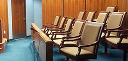 jury science role playing